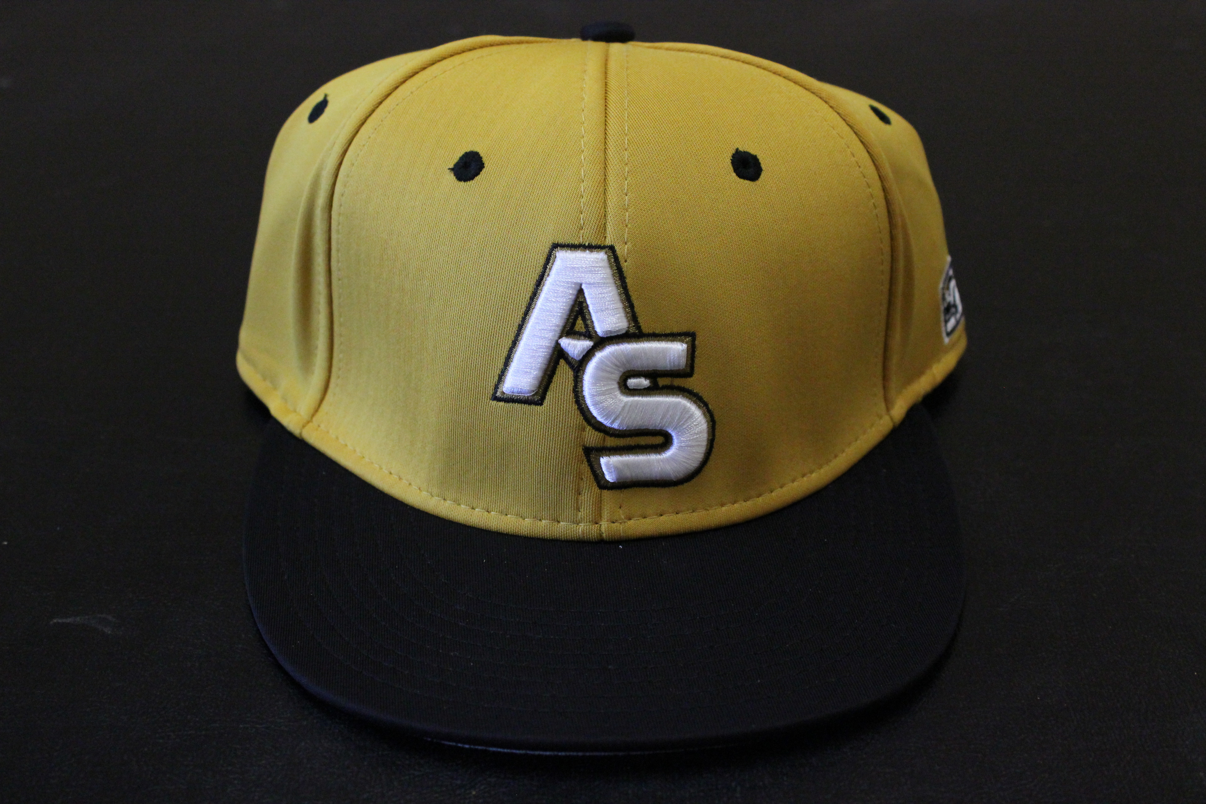 Alabama State University Baseball Cap Hat Baseball HBCU Baseball Hat 